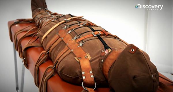 Scene from the documentation